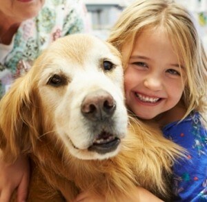 כלבנות טיפולית, עבודה עם כלבים, לשלב אהבה עם כלבים עם טיפול באנשים