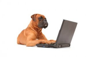 כלב מקליד על מחשב