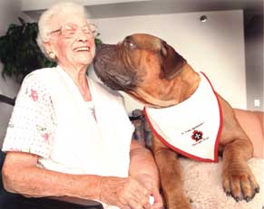 אישה מבוגרת עם כלב גדול