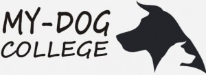 לוגו של מאי דוג קולג', לימוד אילוף כלבים