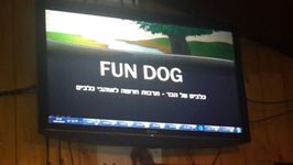פאן דוג, עולם הכלבים, מפגשי תרבות, הרצאה מרתק,