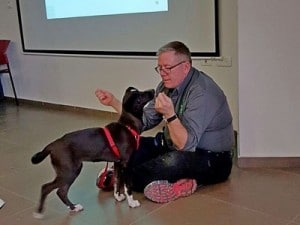 מאלפים,בוגרי קורס אילוף כלבים של מאי דוג בלמידה ושיפור מתמידים אצל טובי המומחים בעולם