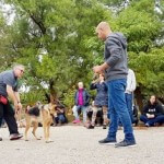סמינר טכניקות אילוף כלבים מתקדמות בבית הספר לאילוף כלבים מאי דוג קולג'