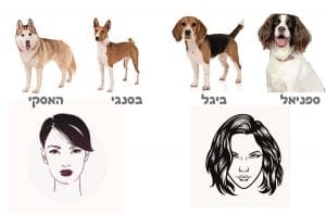שיער ואוזניים של כלבים מזכירים תסרוקות של נשים