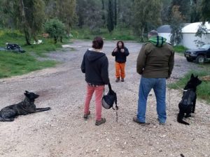 מאמן כלבי הגנה מלמד תושבים עם כלבים