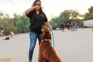מדריכה בכירה מאיה פרנקו עם כלב, שיעור אילוף כלבים